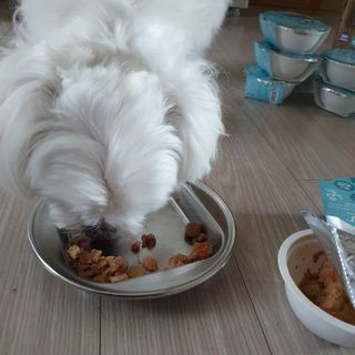hosu.1230님이 올린 리뷰 사진 2