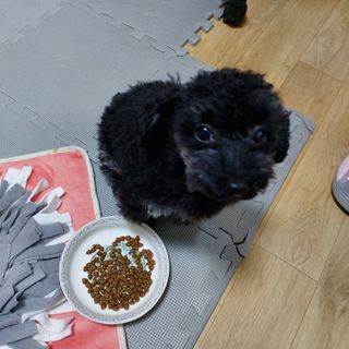 쓔리님이 올린 리뷰 사진 1