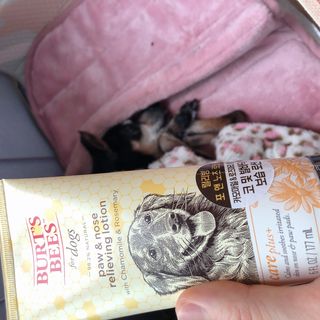 지롱님이 올린 리뷰 사진 1