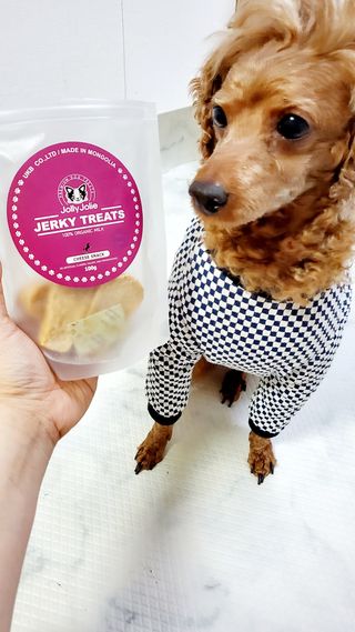 🌈🐩👨‍👩‍👧님이 올린 리뷰 사진 1