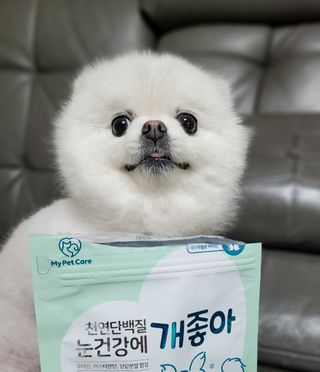 My Pet Care 천연단백질 눈건강에 개좋아 — 5점을 준 리뷰어가 2021년 2월 올린 사용 사진
