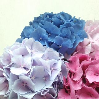 러블리은님이 올린 리뷰 사진 3