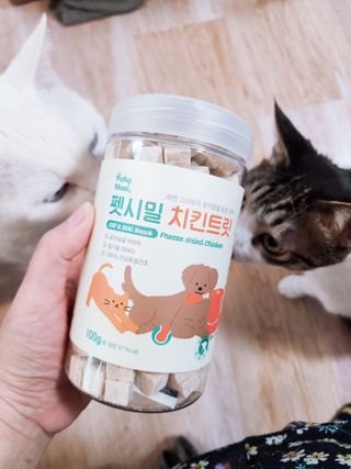 [펫시밀] 원물그대로 영양듬뿍 진공동결건조 북어트릿75g,치킨트릿100g,연어트릿75g 강아지 고양이 간식 — 5점을 준 리뷰어가 2023년 5월 올린 사용 사진