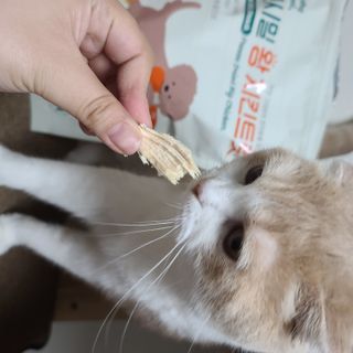 [펫시밀] 원물그대로 영양듬뿍 동결건조 왕북어트릿300g,왕치킨트릿400g,열빙어트릿300g 대용량 간식 — 5점을 준 리뷰어가 2023년 5월 올린 사용 사진