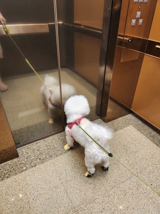 Claire님이 올린 리뷰 사진 2