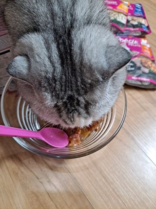 라니으니님이 올린 리뷰 사진 4
