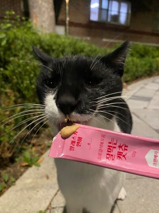 클로버님이 올린 리뷰 사진 3