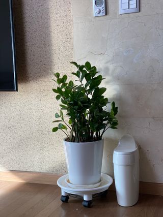 이이님이 올린 리뷰 사진 1