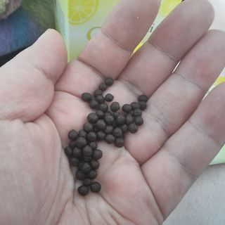 파비올라님이 올린 리뷰 사진 4