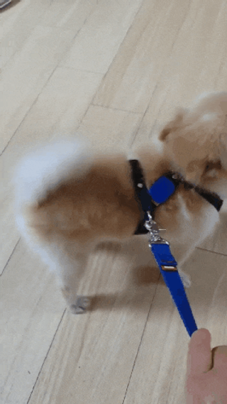 보미누나님이 올린 리뷰 사진 1
