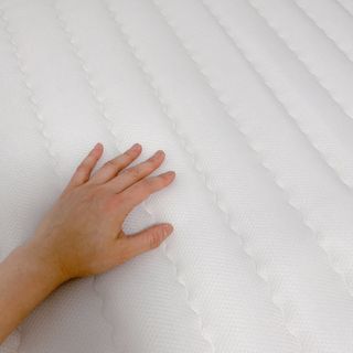 숑이님이 올린 리뷰 사진 2