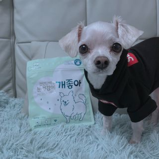 My Pet Care 천연단백질 눈건강에 개좋아 — 5점을 준 리뷰어가 2021년 2월 올린 사용 사진