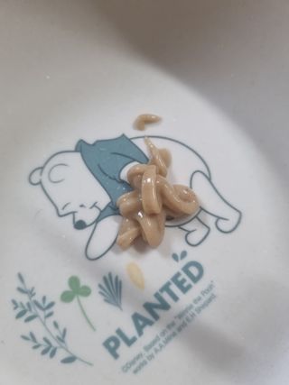 모잉모잉님이 올린 리뷰 사진 2
