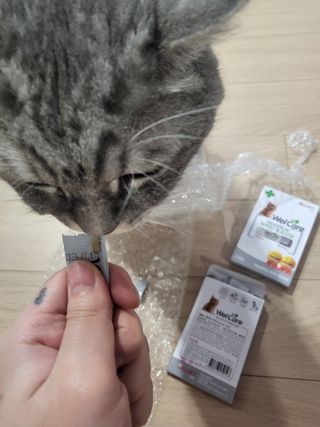 호롤로님이 올린 리뷰 사진 4