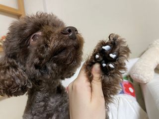 콩지님이 올린 리뷰 사진 1
