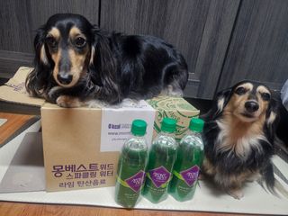 5_daks님이 올린 리뷰 사진 2
