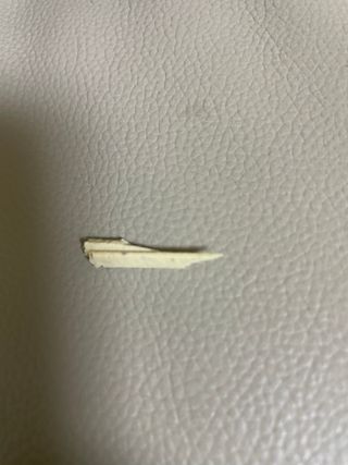페페로니 클린플러스 덴탈치킨껌 10g x 14p — 2점을 준 리뷰어가 2021년 7월 올린 사용 사진