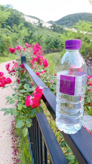몽베스트 [MONTBEST] 500mL 20병 — 5점을 준 리뷰어가 2023년 5월 올린 사용 사진