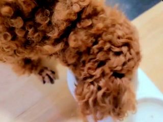 연이님이 올린 리뷰 사진 3