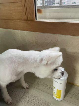랑벨 내츄럴 딥 클렌징 워터 500ml — 5점을 준 리뷰어가 2022년 6월 올린 사용 사진
