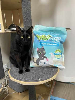 핑크천사님이 올린 리뷰 사진 1