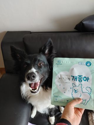 My Pet Care 천연단백질 눈건강에 개좋아 — 4.5점을 준 리뷰어가 2021년 2월 올린 사용 사진
