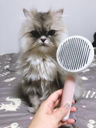 꼬끼오님이 올린 리뷰 사진 3