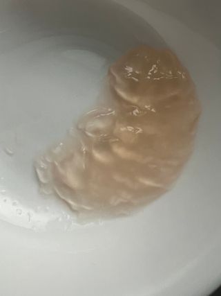 [몸엔용] 우리 아이 건강간식, 달콤한 녹용곤약젤리 디어팡 4종 — 5점을 준 리뷰어가 2022년 4월 올린 사용 사진