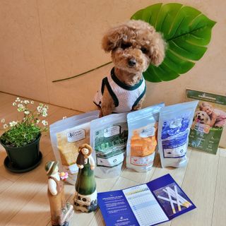 김맘님이 올린 리뷰 사진 2