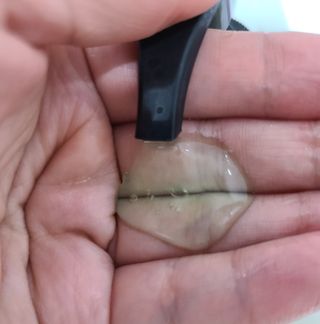 띵코 허브 샴푸, 트리트먼트, 바디워시 3종 — 4.5점을 준 리뷰어가 2022년 2월 올린 사용 사진