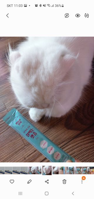 좋아님이 올린 리뷰 사진 4