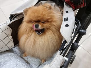 아롱이님이 올린 리뷰 사진 4