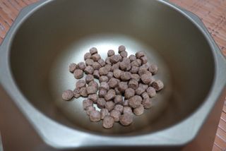 치킨수프 클래식 독 2.04KG — 5점을 준 리뷰어가 2021년 6월 올린 사용 사진