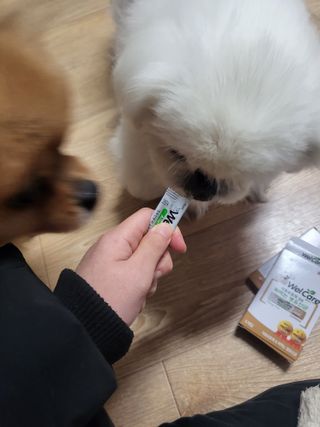 ruler.zero님이 올린 리뷰 사진 4