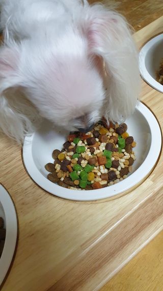 cherishlim님이 올린 리뷰 사진 4