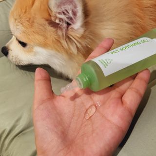 좋아님이 올린 리뷰 사진 2