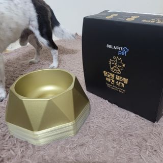 [세싹보울] 세균 싹~ 사라지는 셀앤핏 펫 항균동 애견식기 — 5점을 준 리뷰어가 2021년 6월 올린 사용 사진