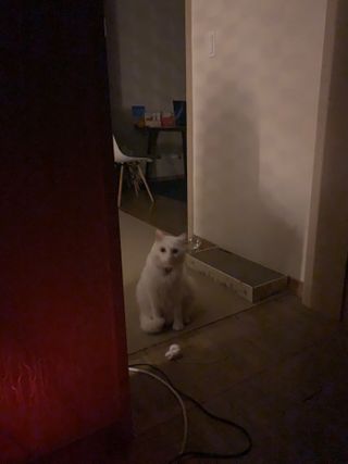 례진님이 올린 리뷰 사진 3