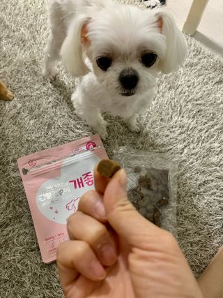 My Pet Care 천연단백질 관절건강에 개좋아 — 5점을 준 리뷰어가 2021년 2월 올린 사용 사진