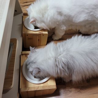 먹보옷님이 올린 리뷰 사진 3