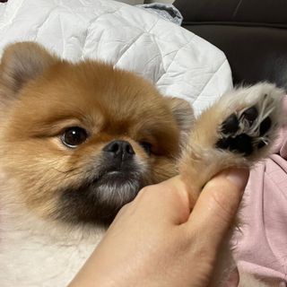 heea님이 올린 리뷰 사진 4