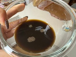 광동생활건강 MF [광동] 바르게 만든 광동 흑염소 진액 70ml * 30포 1박스 — 4.5점을 준 리뷰어가 2024년 5월 올린 사용 사진