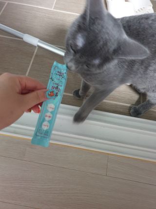 페페로니 잘 먹는 캣츄 - 원양선 참치 24개입 — 5점을 준 리뷰어가 2021년 7월 올린 사용 사진