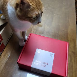 [자유펫] 고양이 턱드름 여드름 예방 및 제거 세트, 블랙씨드케어박스 — 4점을 준 리뷰어가 2021년 10월 올린 사용 사진