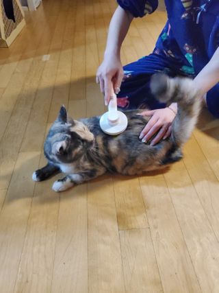 망구님이 올린 리뷰 사진 2