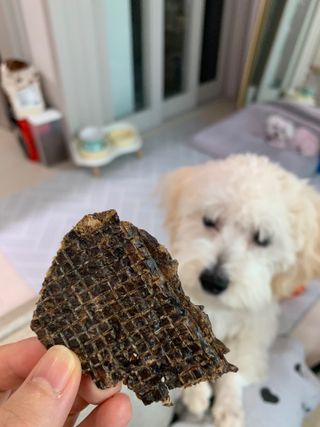 댑빵이님이 올린 리뷰 사진 3