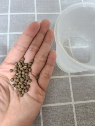 새롬바이오 리생 [미쾌변] 차전자피 식이섬유 건강기능식품 3팩 — 4.5점을 준 리뷰어가 2021년 6월 올린 사용 사진