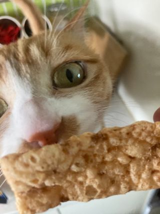 진진이님이 올린 리뷰 사진 2