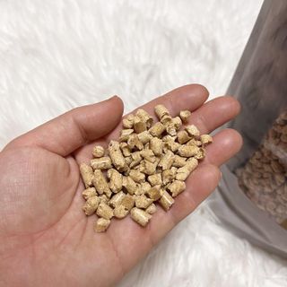버진플래닛코리아 버진플래닛 고양이 화장실 우드 펠렛 모래 배변 펠릿 — 4점을 준 리뷰어가 2023년 3월 올린 사용 사진