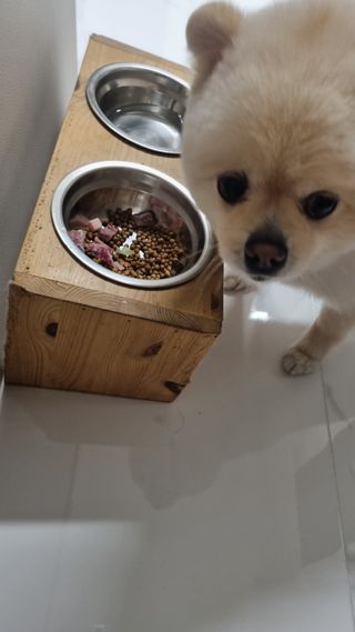 고이든님이 올린 리뷰 사진 4